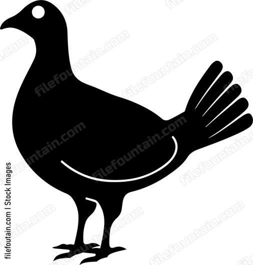 Grouse