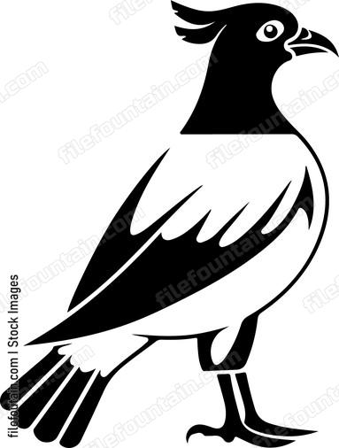Grouse