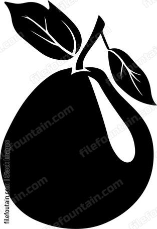 Guava Fruit