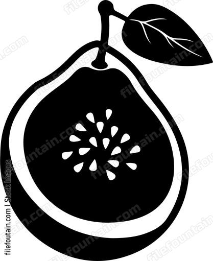 Guava Fruit