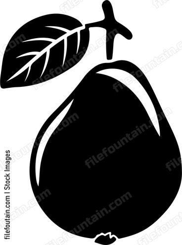 Guava Fruit
