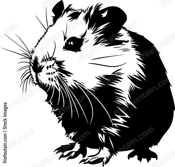 Hamster