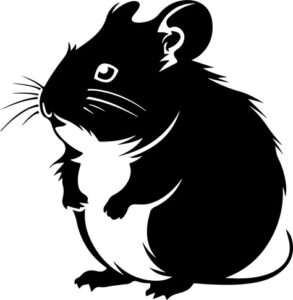 Hamster