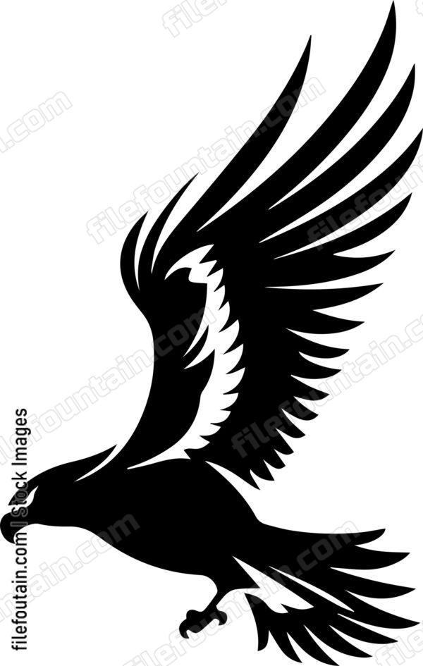Hawk