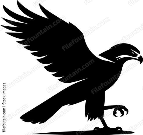 Hawk