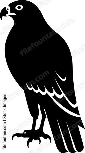 Hawk