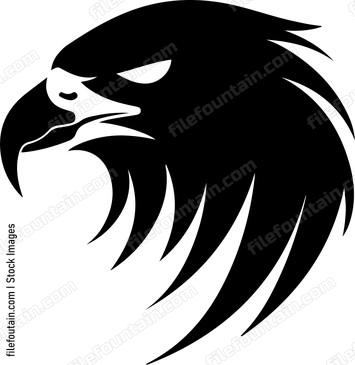 Hawk