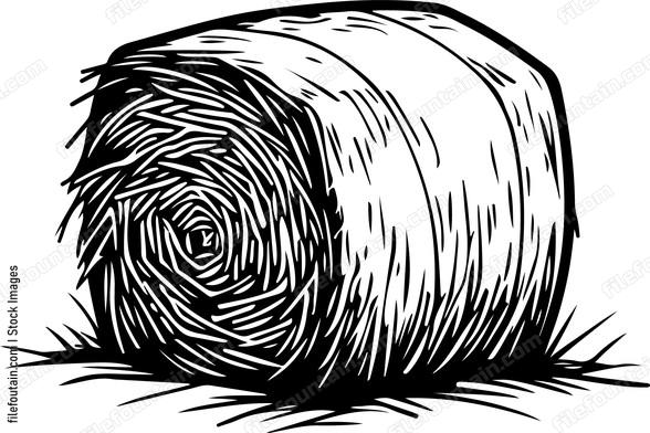 Hay Bale