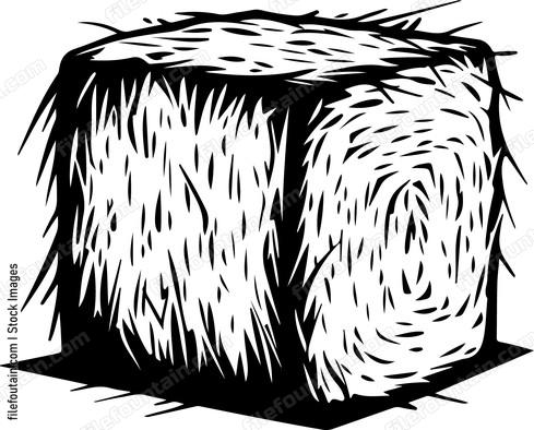 Hay Bale