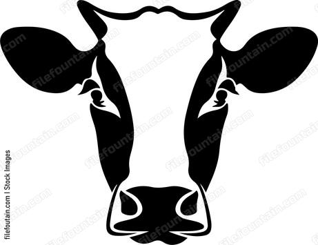 Heifer