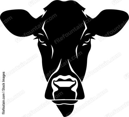 Heifer