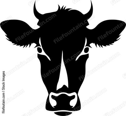 Heifer