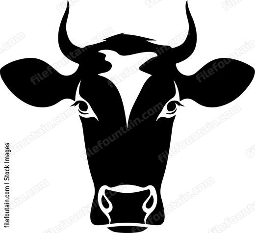 Heifer