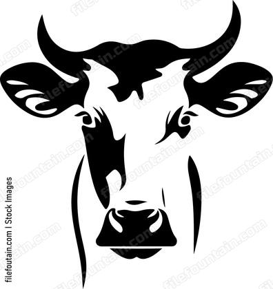 Heifer