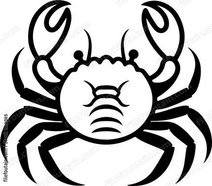 Hermit Crab
