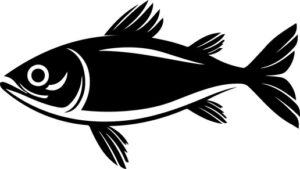 Herring