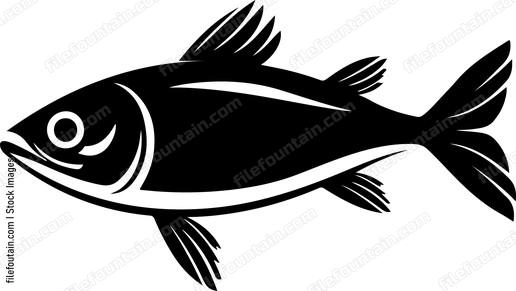 Herring