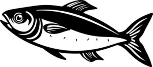 Herring