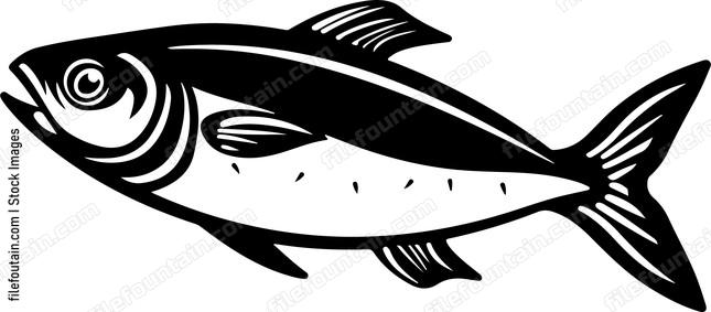 Herring