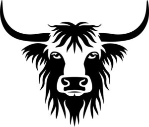 Highland Cow