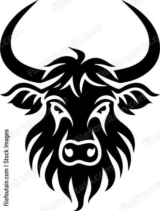 Highland Cow