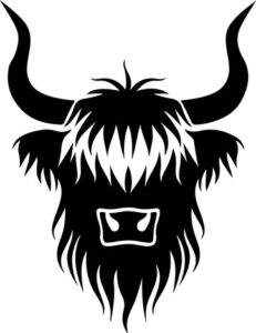 Highland Cow