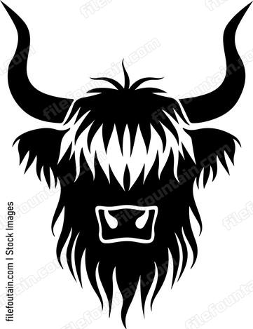 Highland Cow