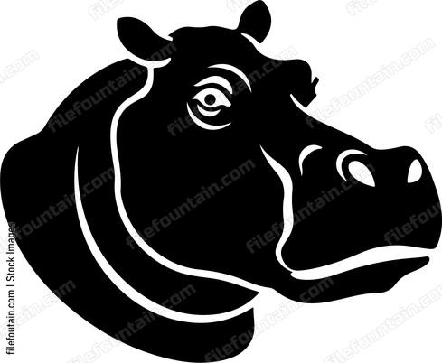 Hippo Head