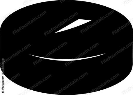 Hockey Puck