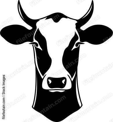 Holstein Cow
