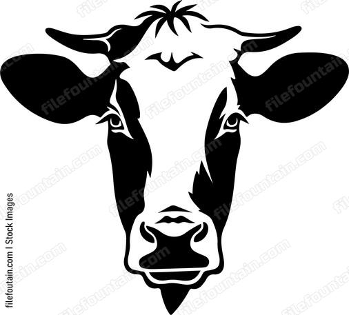 Holstein Cow