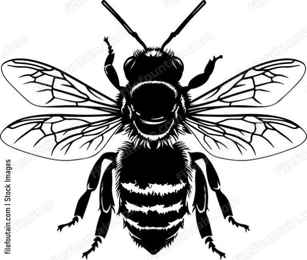 Honey Bee
