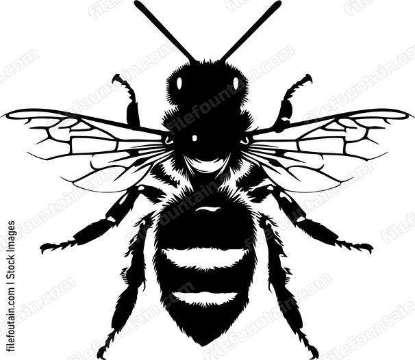 Honey bee