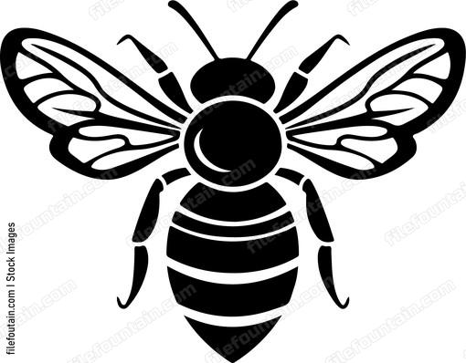 Honey Bee
