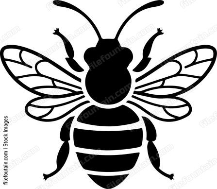 Honey Bee
