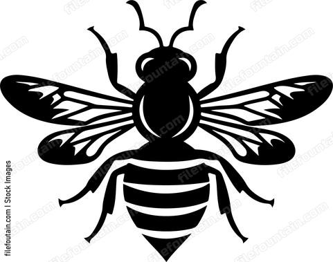 Honey Bee
