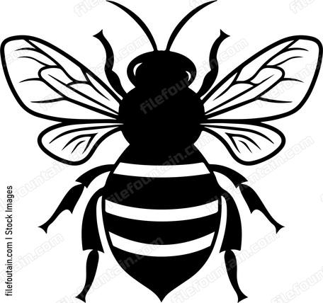 Honey Bee