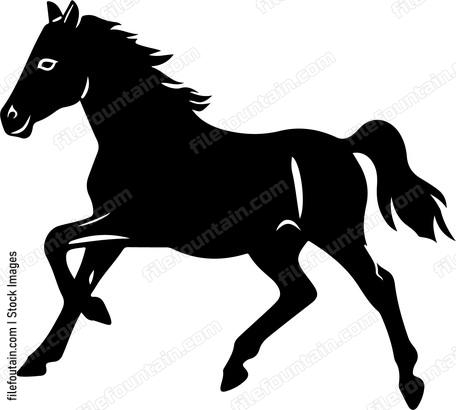 Horse Baby Running