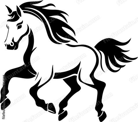 Horse Baby Running