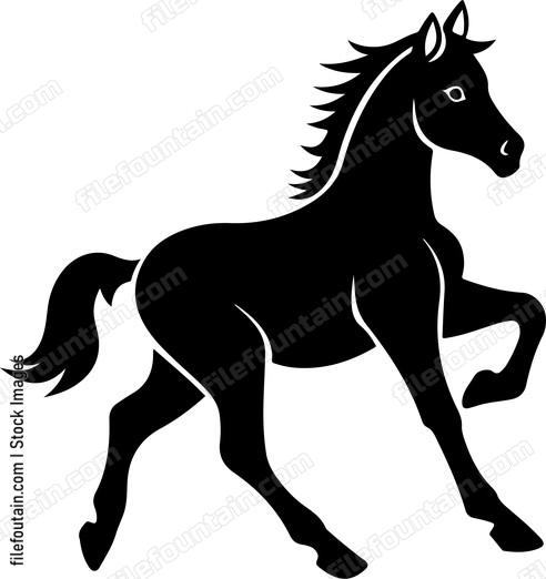 Horse Baby Running