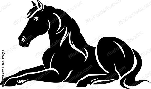 Horse Rolling On Floor