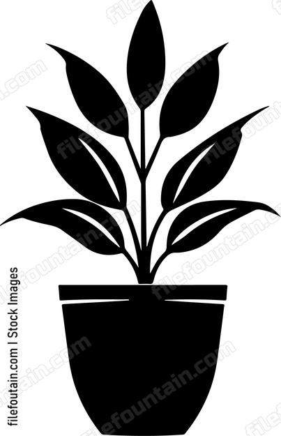 House Plant