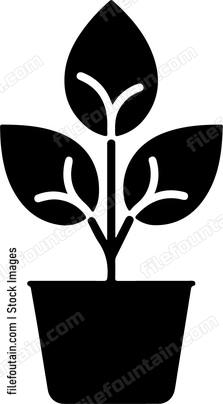 House Plant