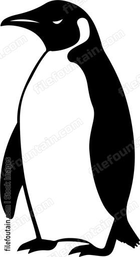 Humboldt Penguin