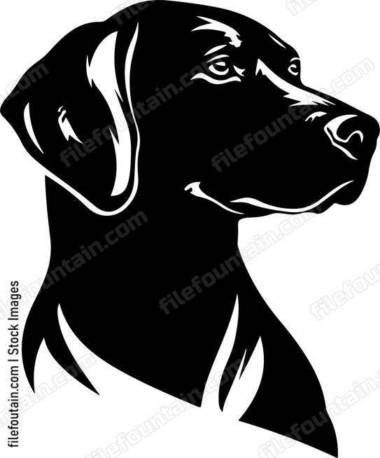 Hunting Dog
