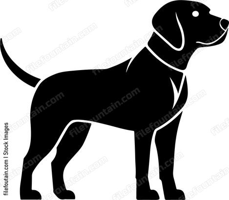 Hunting Dog