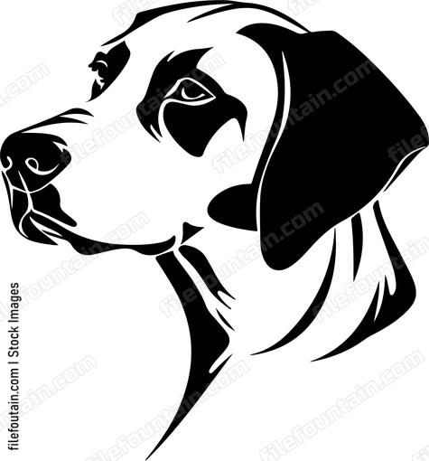 Hunting Dog