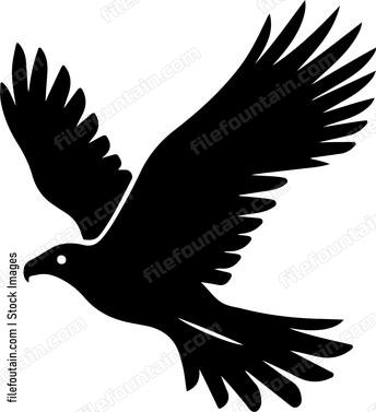Hunting Hawk