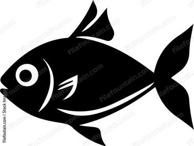I Fish Therefore I Lie