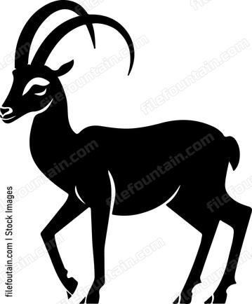 Ibex